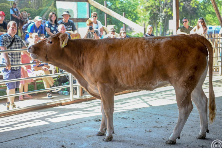 Nagy István: változásra van szükség a magyar mezőgazdaságban