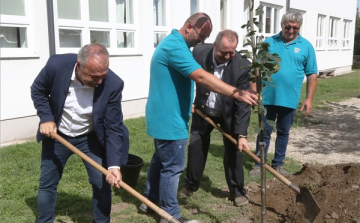 Nyolcezer fát ültetnek el idén ősszel az Országos Településfásítási Programban