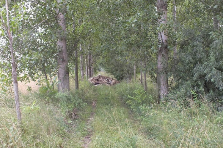 Állati bőröket dobáltak ki a természetben többfelé is