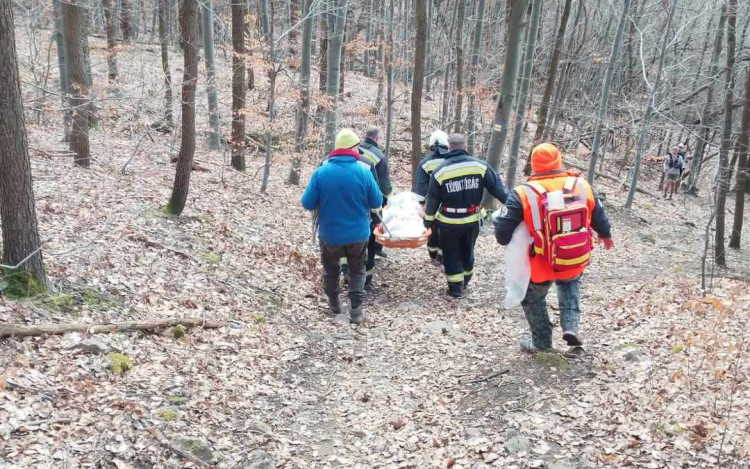 Szakadékba zuhant gyermeket mentettek a tűzoltók és a speciális mentők