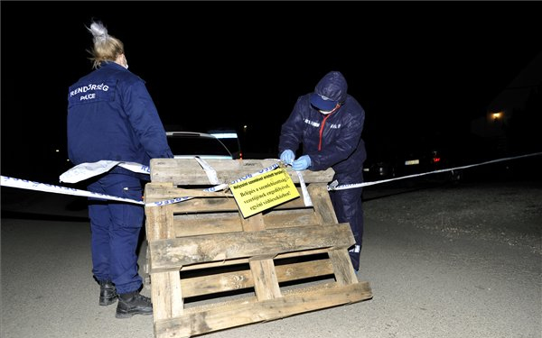 Emberi csontokat találtak egy szentendrei ingatlan udvarán